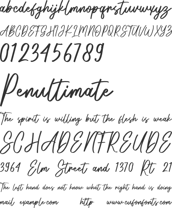 Elissa Signature font preview