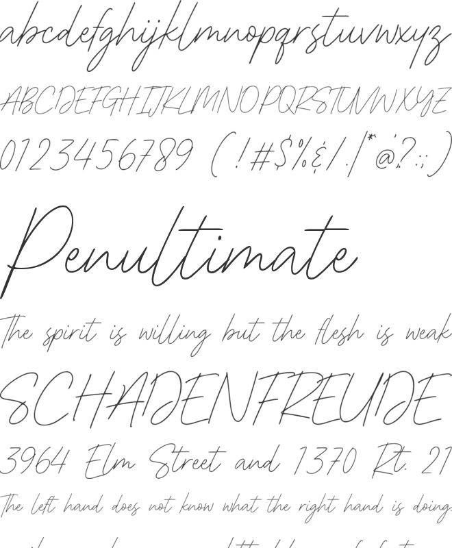 Shinymotion font preview