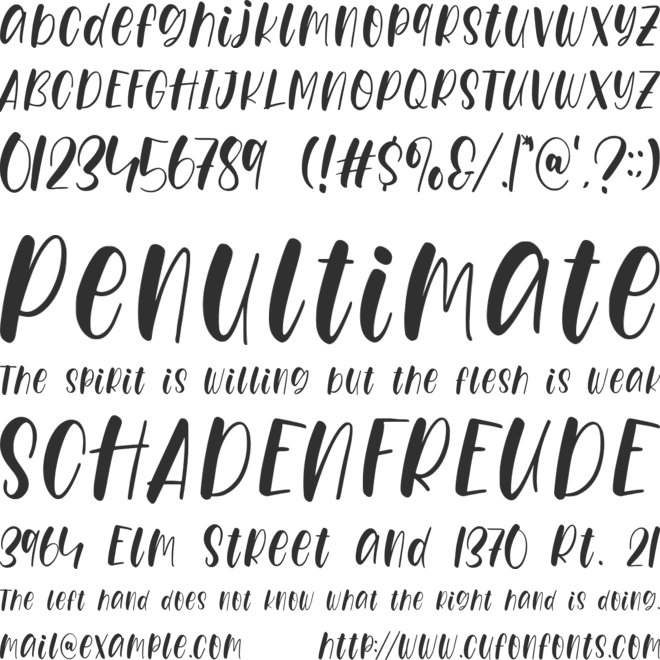 Chickyplum font preview