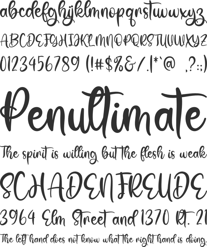 Dear Holiday font preview