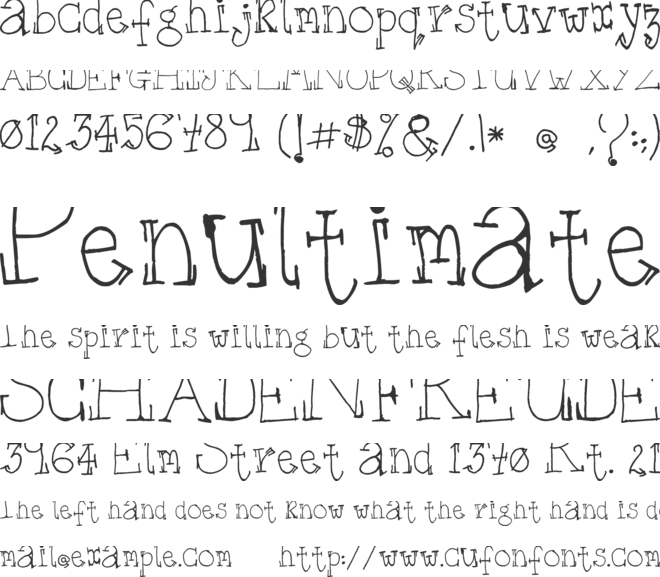 WS Serif font preview