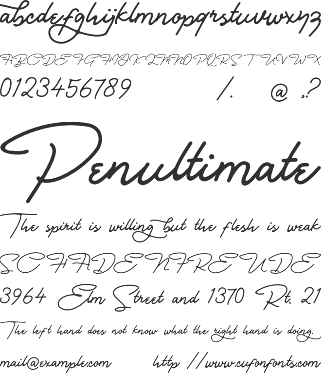 Bull Stander Free Demo font preview
