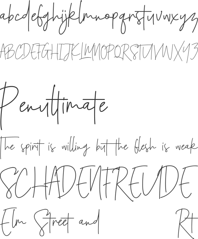 Santiago Pro font preview