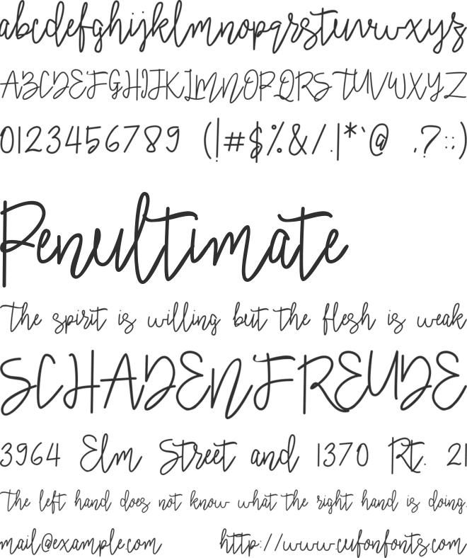 Signatural font preview