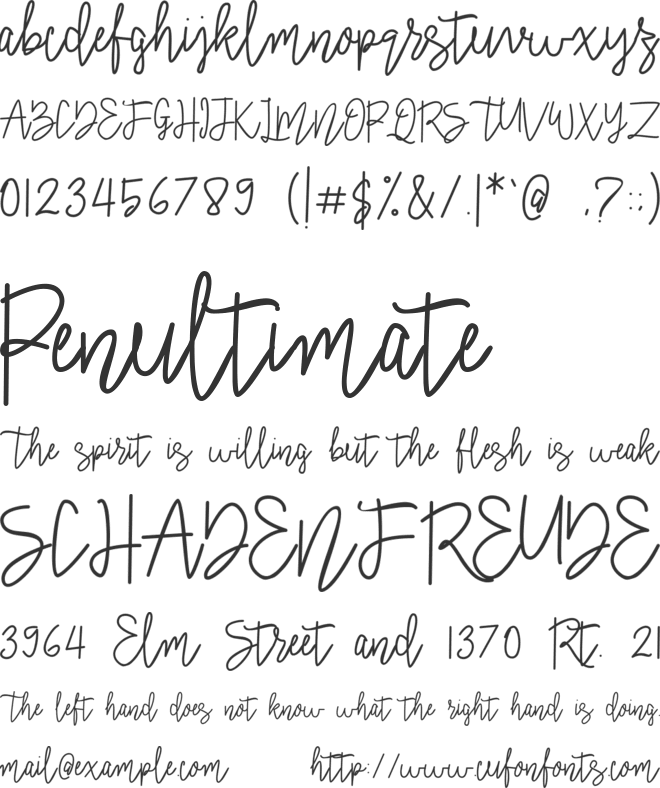 Signatural font preview