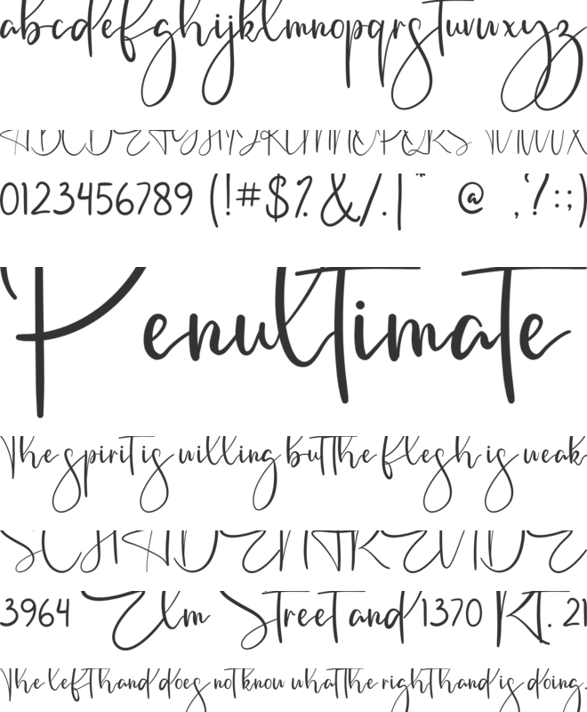 Zettama font preview