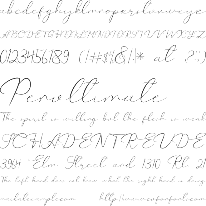 Catalan Signature font preview