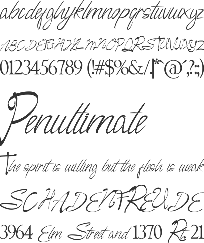 Camella Beauty Script font preview