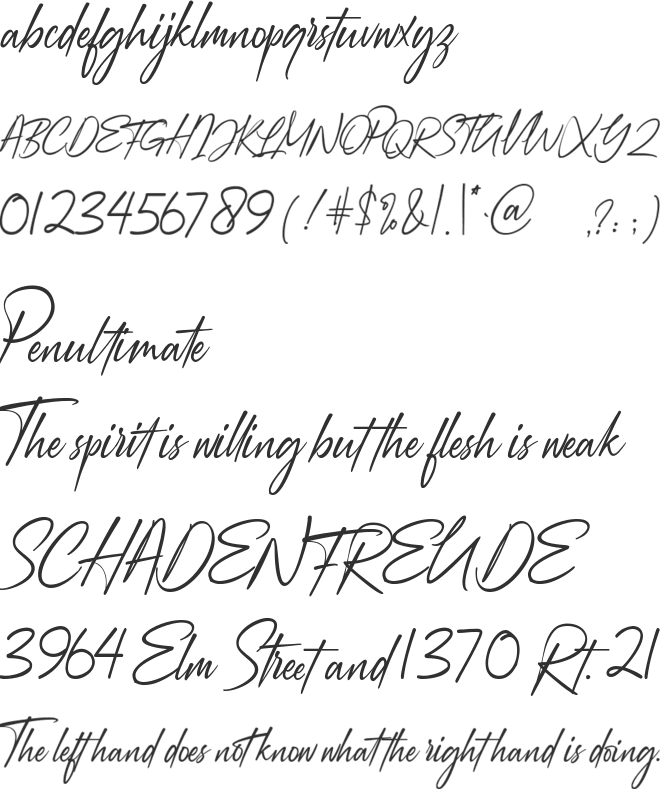 Augustinne demo font preview
