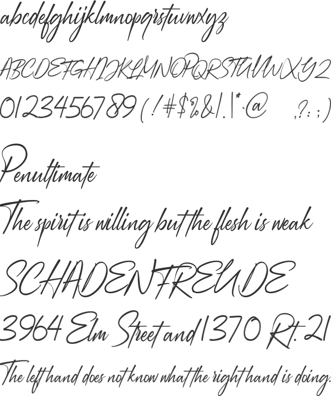 Augustinne demo font preview
