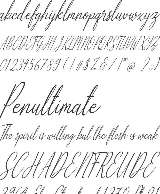 Alliando font preview