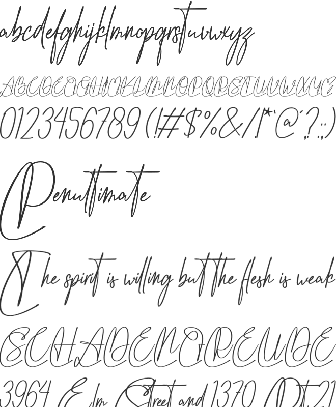 Vippa Willette font preview