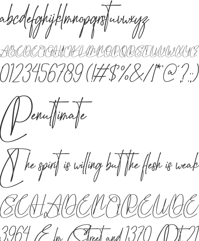 Vippa Willette font preview