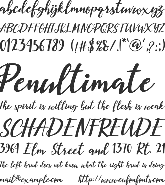 Corolla font preview
