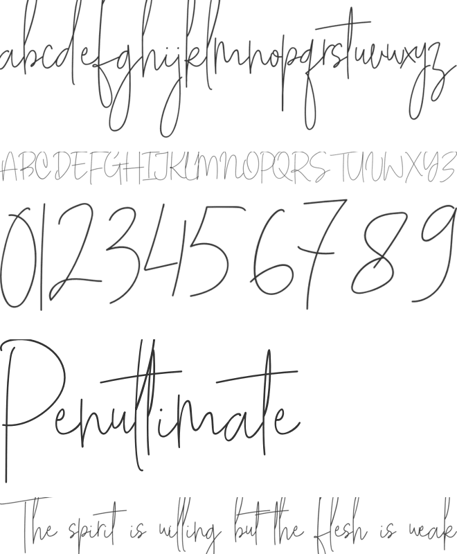 White Apparel font preview