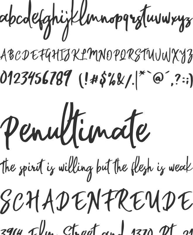 Willford Brush font preview
