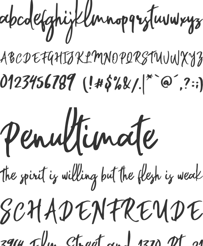 Willford Brush font preview