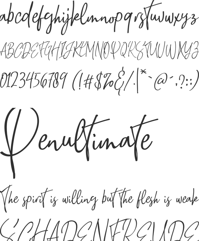 Natthalie Signature font preview