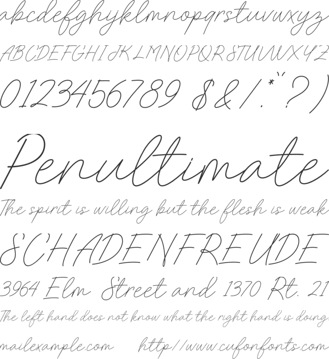 Charlotte Sweet font preview