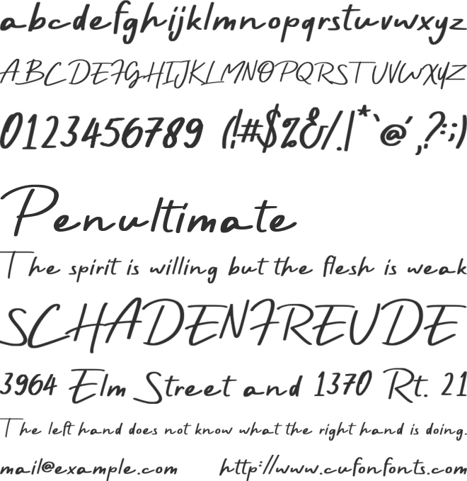 Rayleigh Demo Version font preview