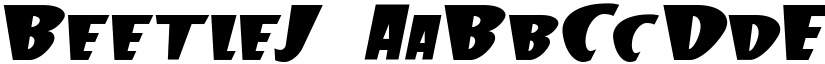 BeetleJ font