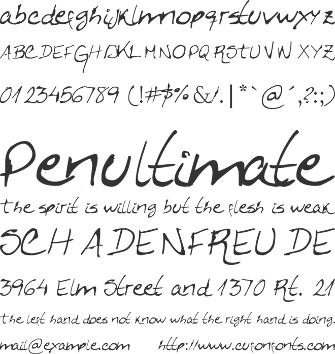 Caligrafica Arito font preview