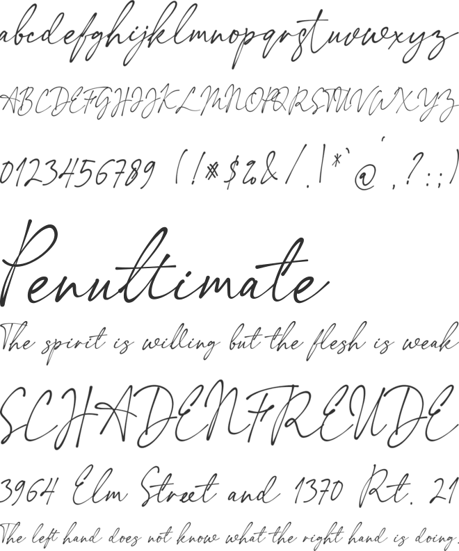 The Expressions font preview