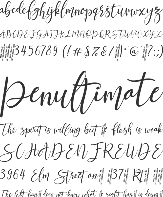 Jettiares Script Font font preview