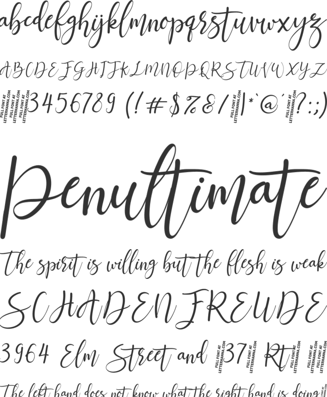 Jettiares Script Font font preview