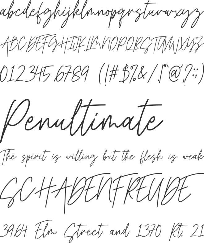 Harmony Signature font preview