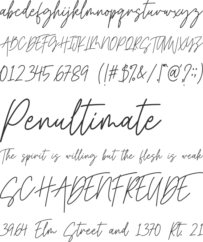 Harmony Signature font preview