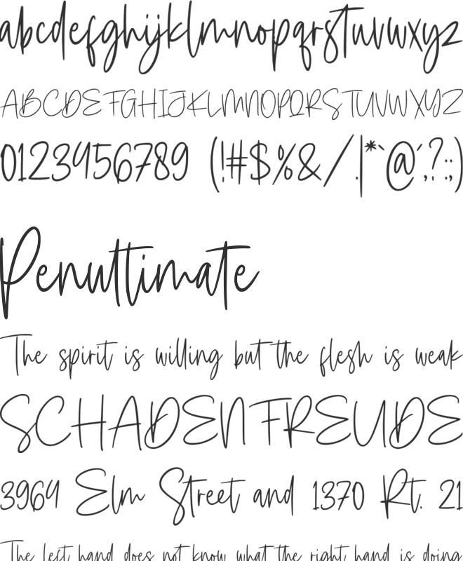 Staylight font preview
