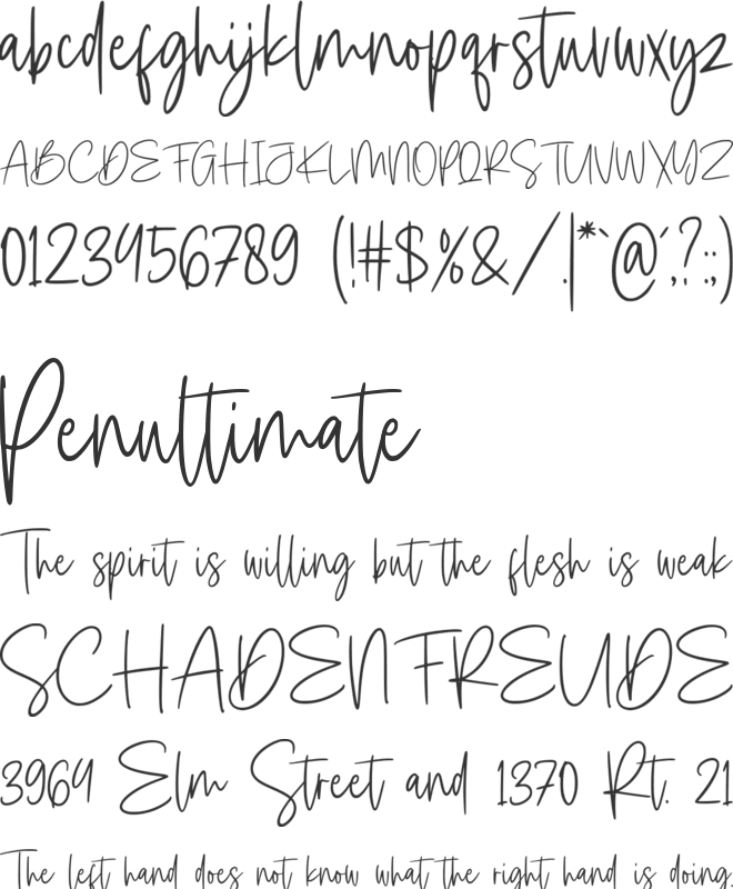 Staylight font preview