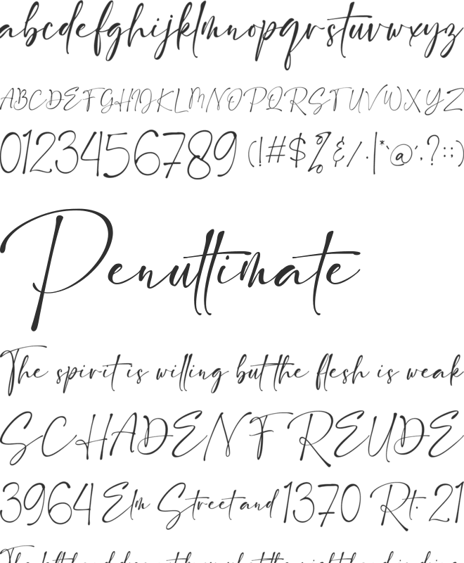 Smith Rose font preview