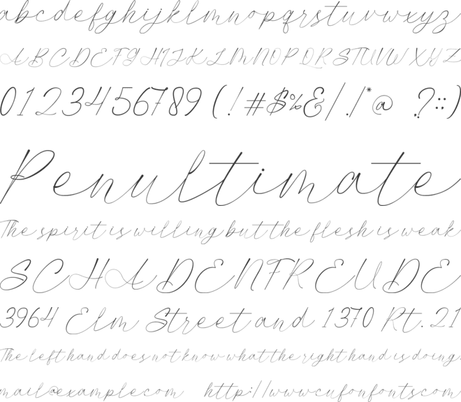 Autograph font preview