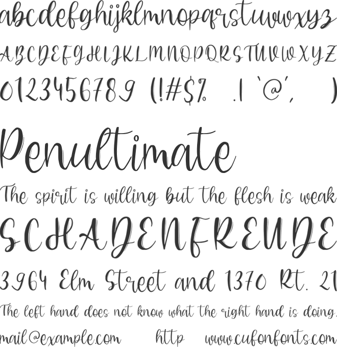 Barbara font preview