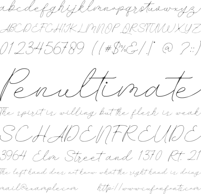 Holliday font preview