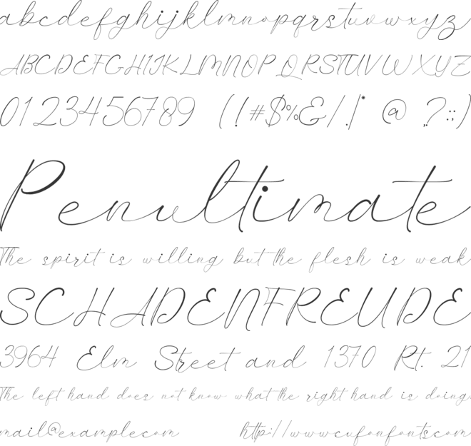 Mornlight font preview