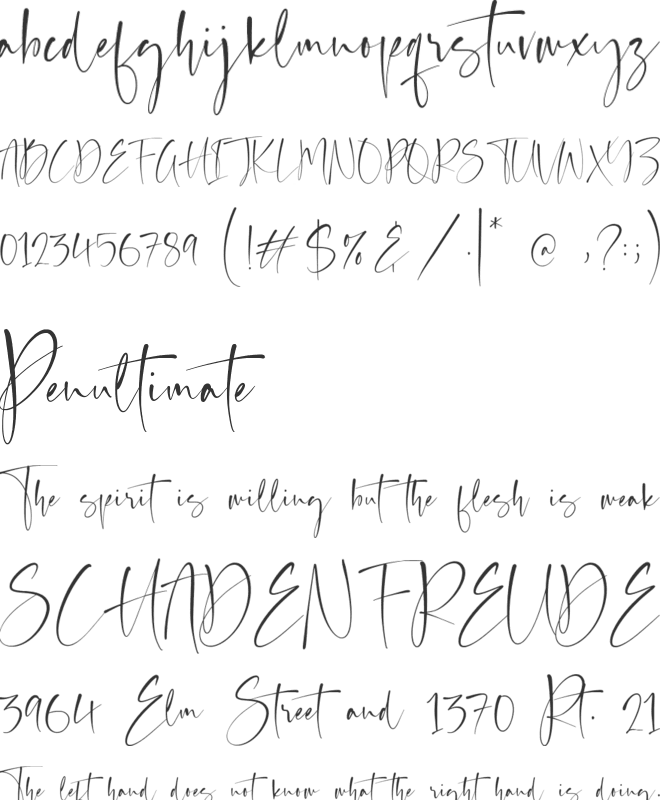 Auguste Boutique font preview