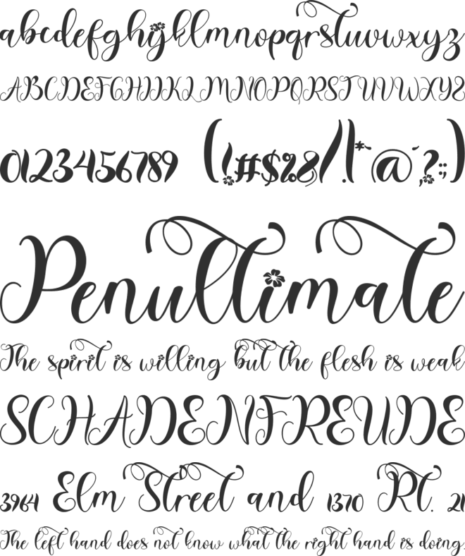 Beautiful Spring font preview