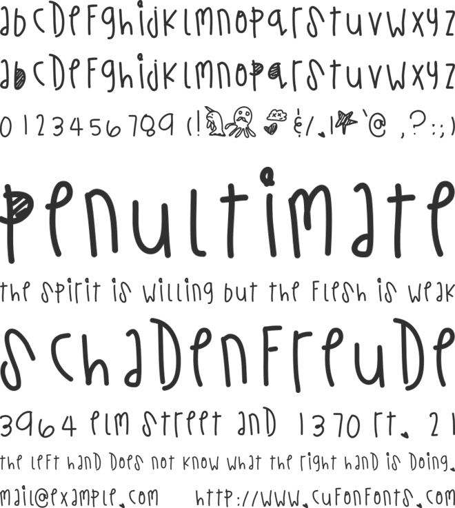 TurtleWishes font preview