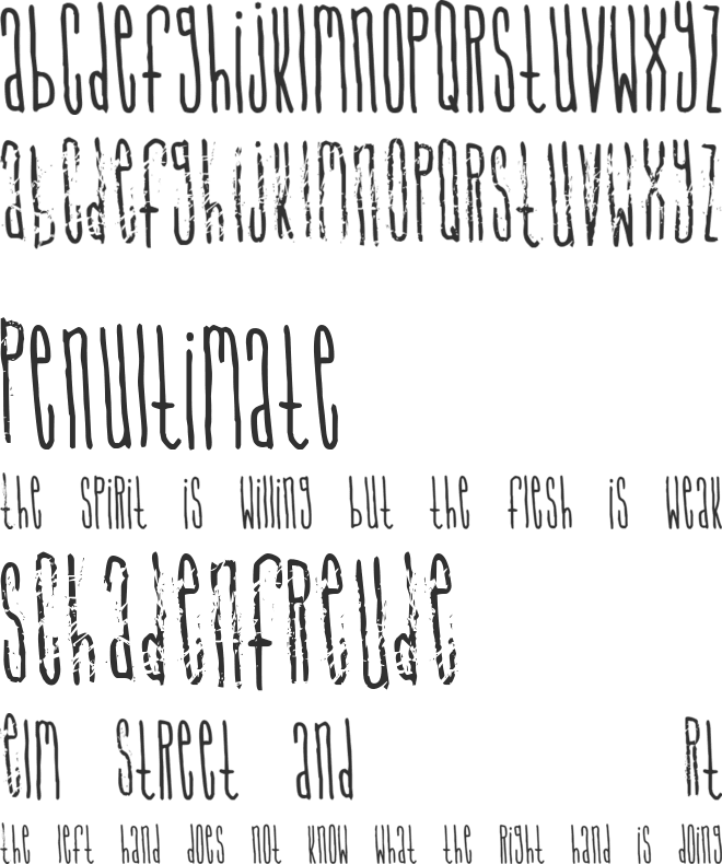 Signal to Noize font preview