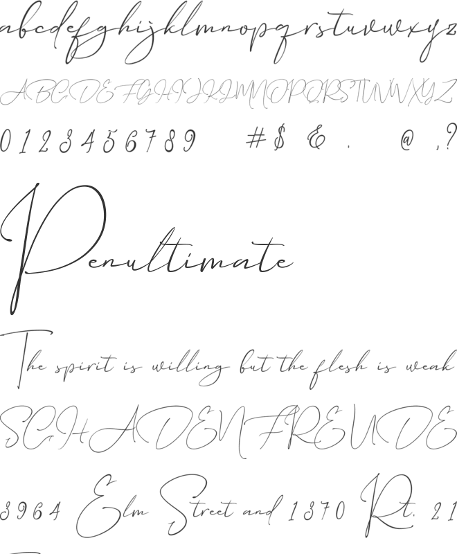 American font preview