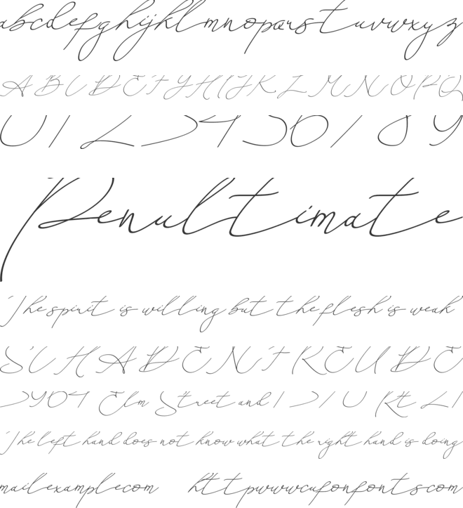 An Either Lifetime font preview