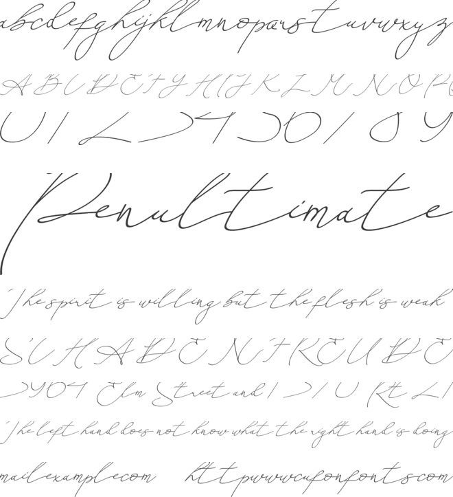 An Either Lifetime font preview