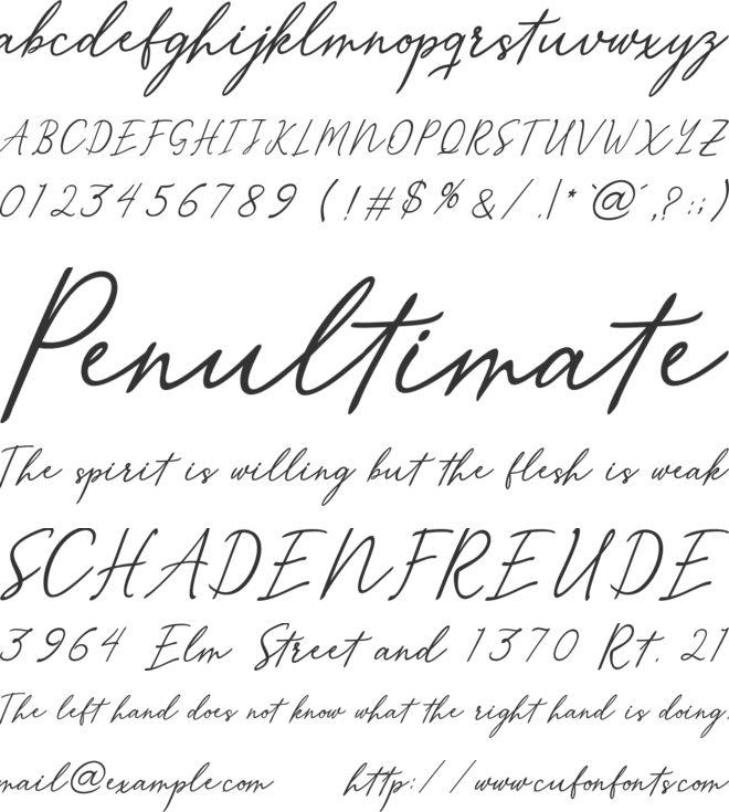 Merrxi Script font preview