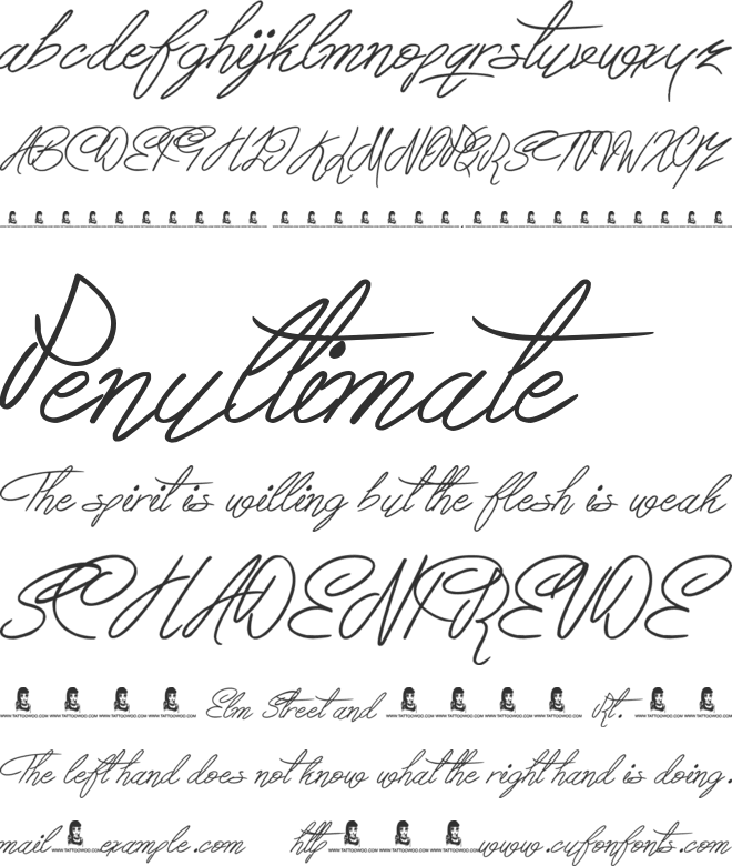 Berty Script font preview