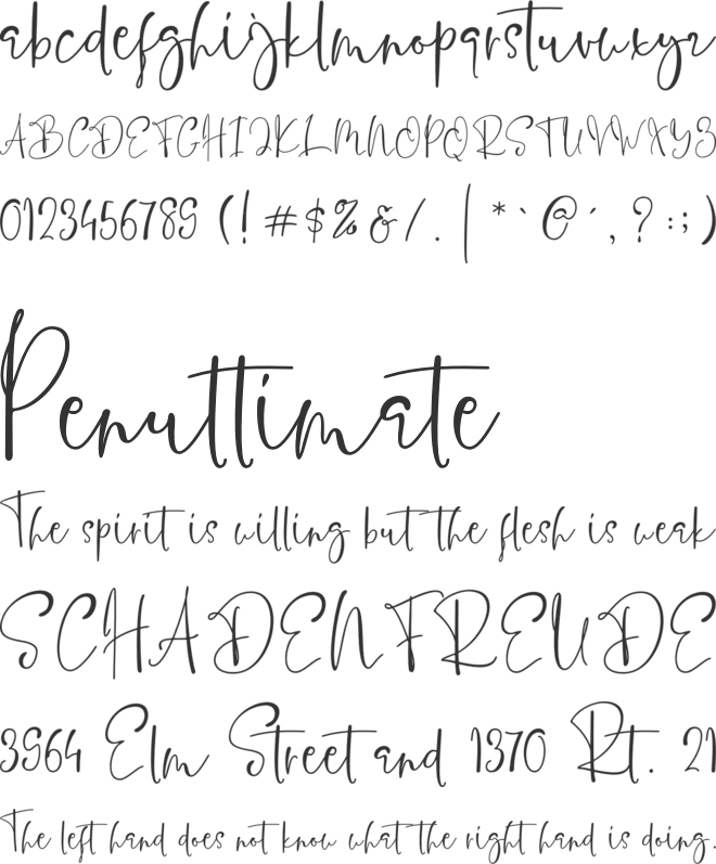 Coletta Davis font preview