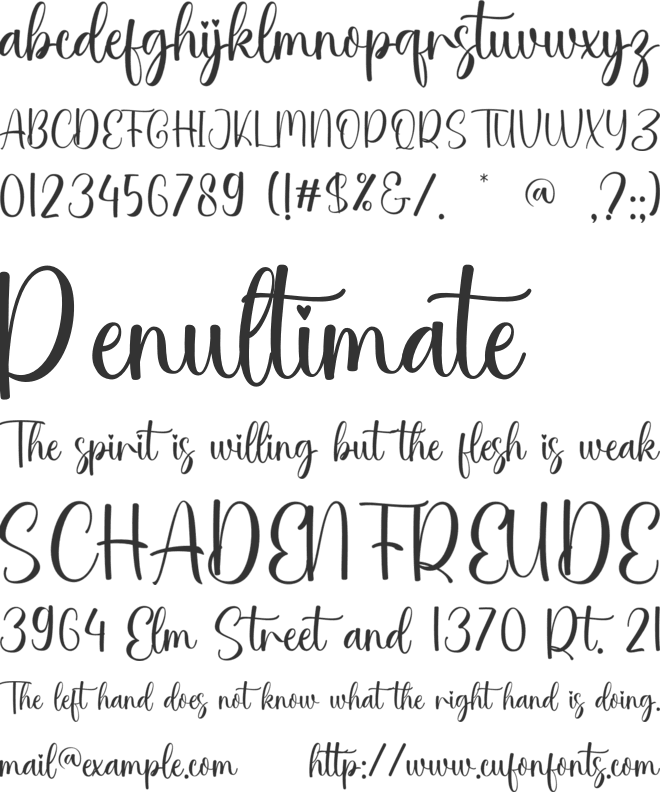 Kimberly Poppi font preview