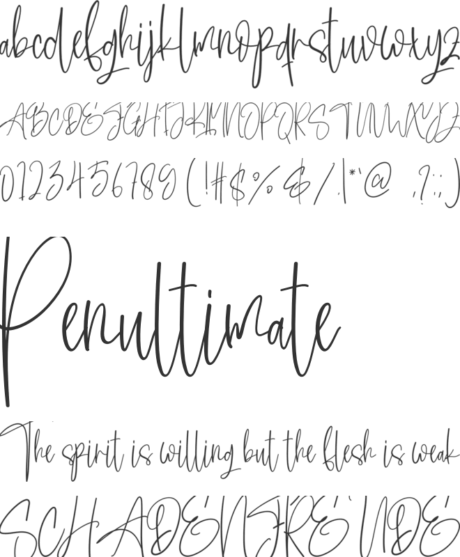 Sligature font preview